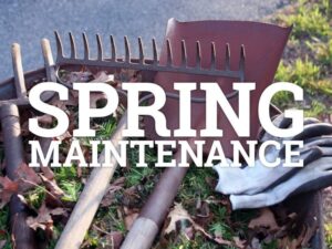 Healthy Habits: Spring Maintenance