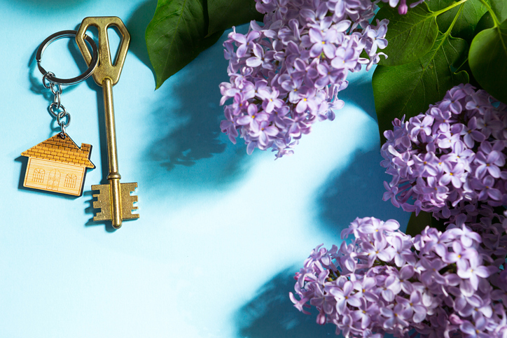 House key with keychain on blue spring background and lilac branches