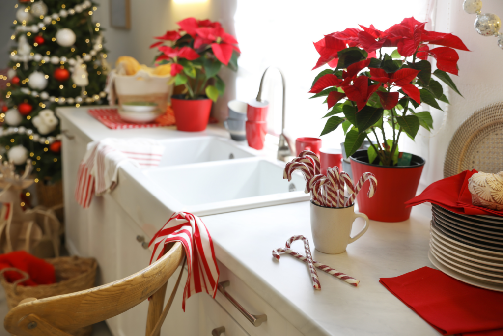 Gerstad Builders Holiday Decor Tips with white countertops and holiday plants